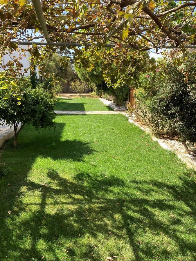 Ninemia Naxos Suites Agios Thaleleos Экстерьер фото