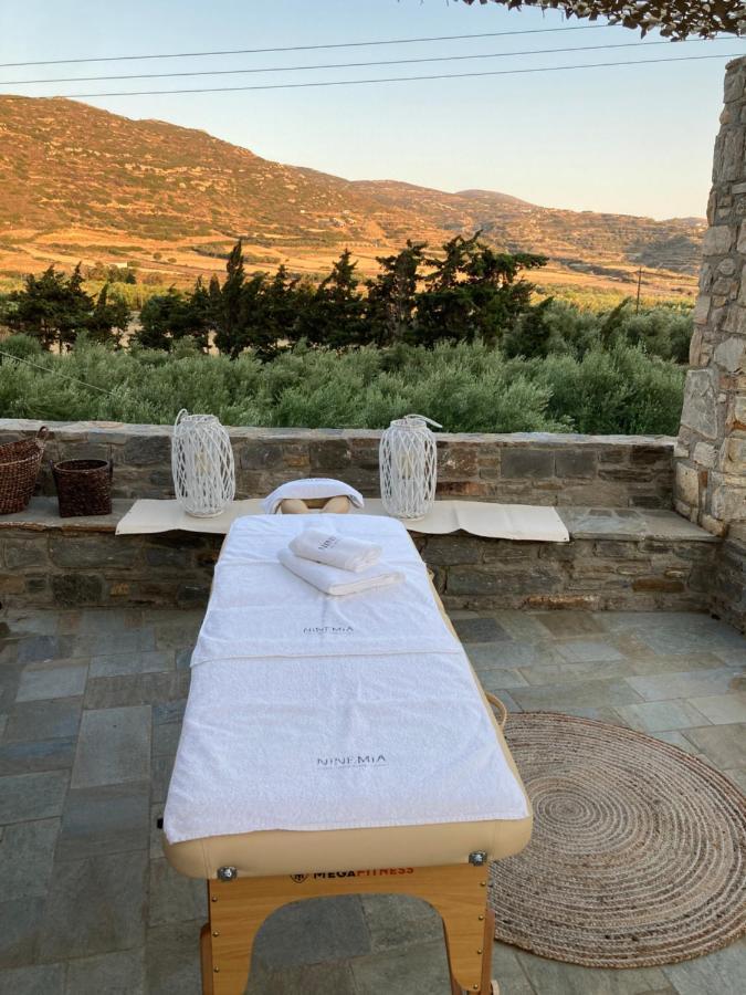 Ninemia Naxos Suites Agios Thaleleos Экстерьер фото